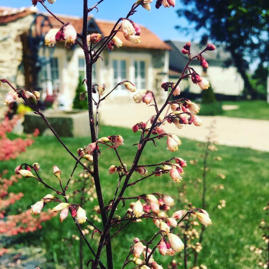 Le Petit Chateau Des Cedres Mouchamps Ngoại thất bức ảnh